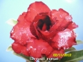 small-rose